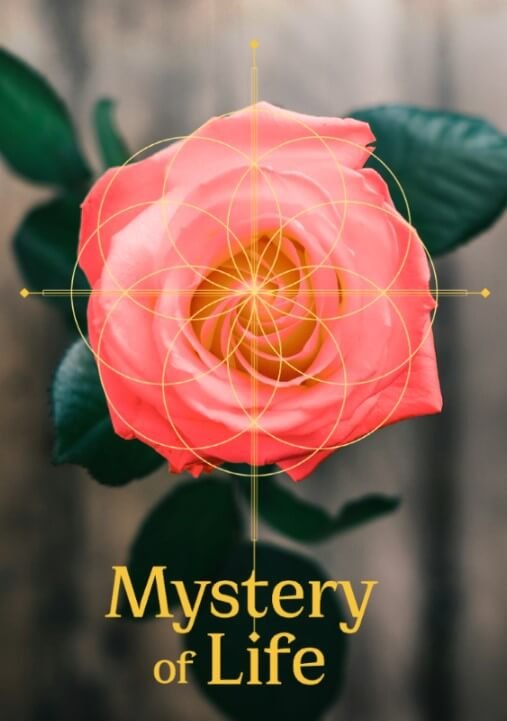 Mystery of Life book cover